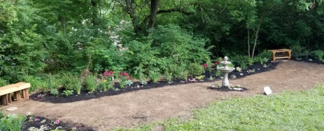 Does My Garden Make Me Look Stupid?