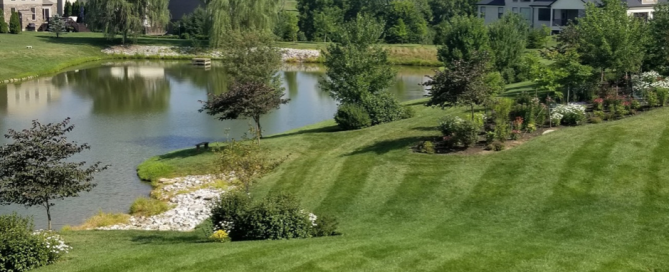 Seven Pros and Cons for Living Next to a Pond