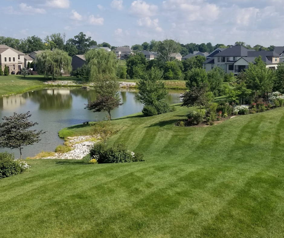 Seven Pros and Cons for Living Next to a Pond