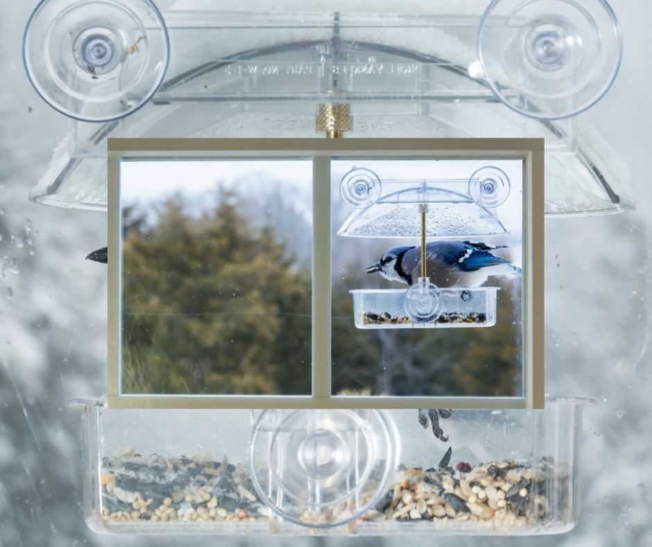 bird feeders