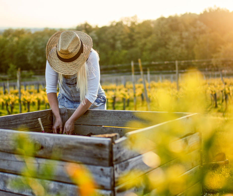 Gardening Tips for Individuals with Mobility Challenges