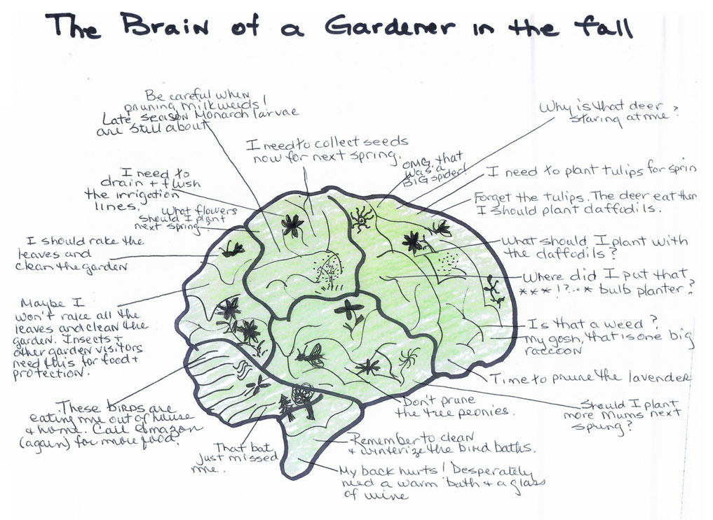 gardener brain
