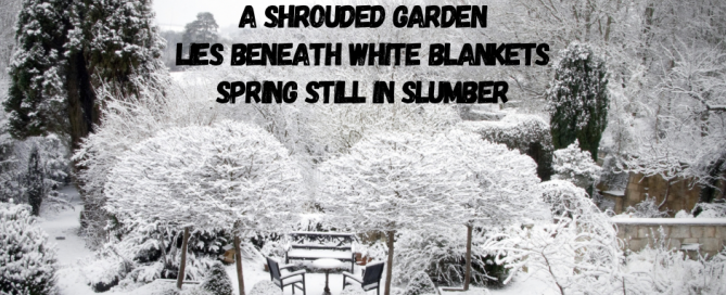 Winter Shroud