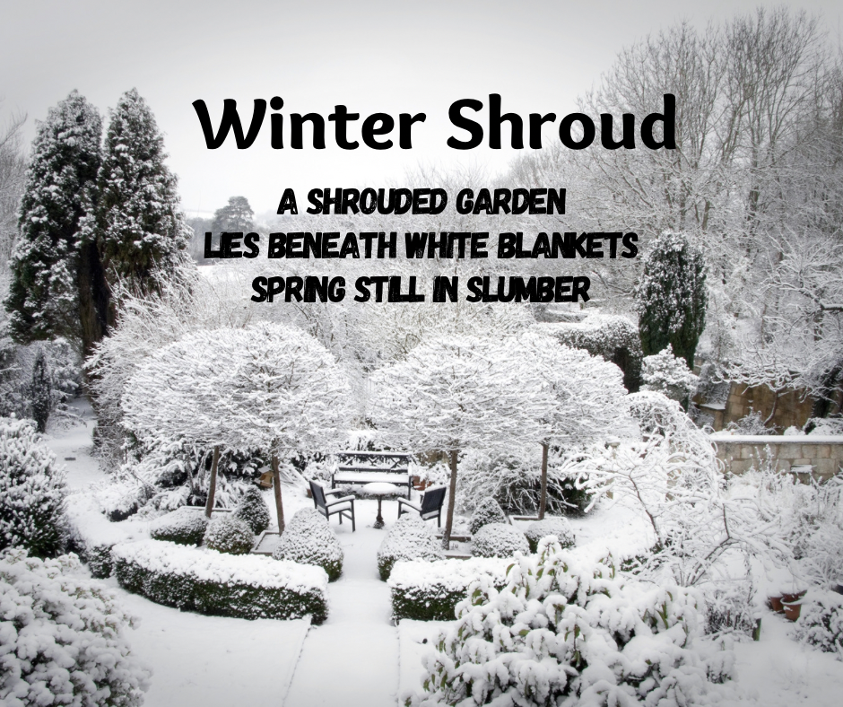 Winter Shroud