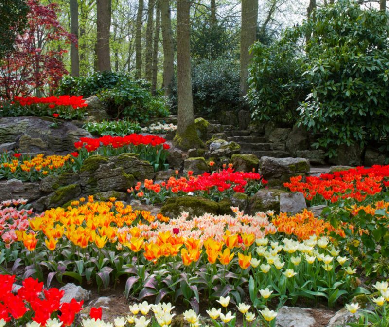 Ten Reasons Why I Love Spring - Mother Natures Apprentice