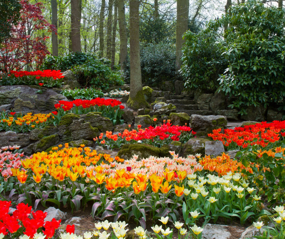 Ten Reasons Why I Love Spring
