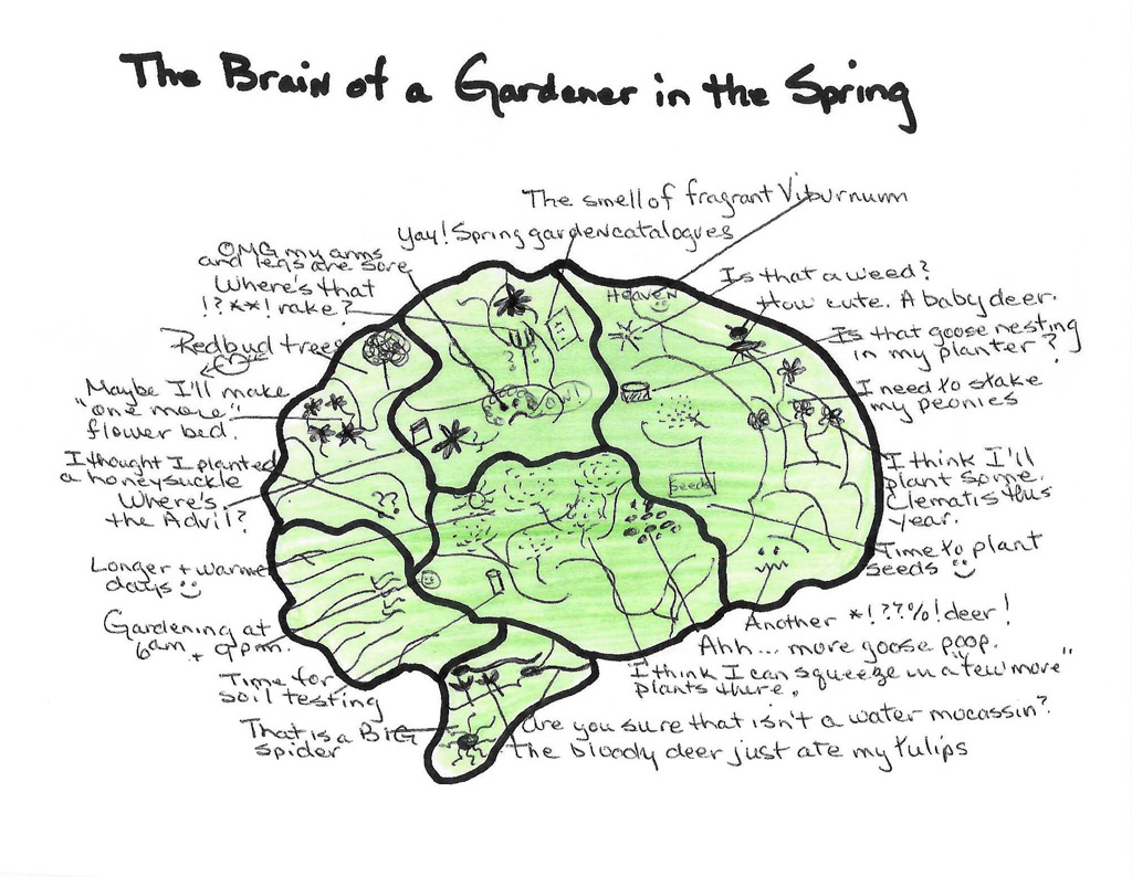 The Brain of a Gardner in the Spring