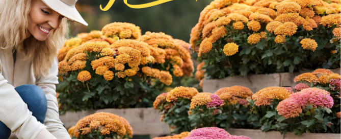 hello autumn