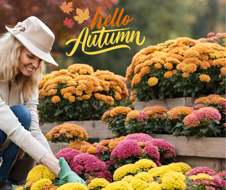 hello autumn