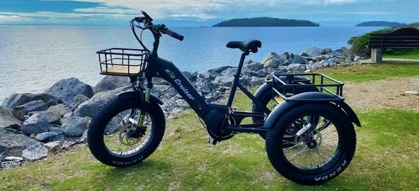MNA - etrike
