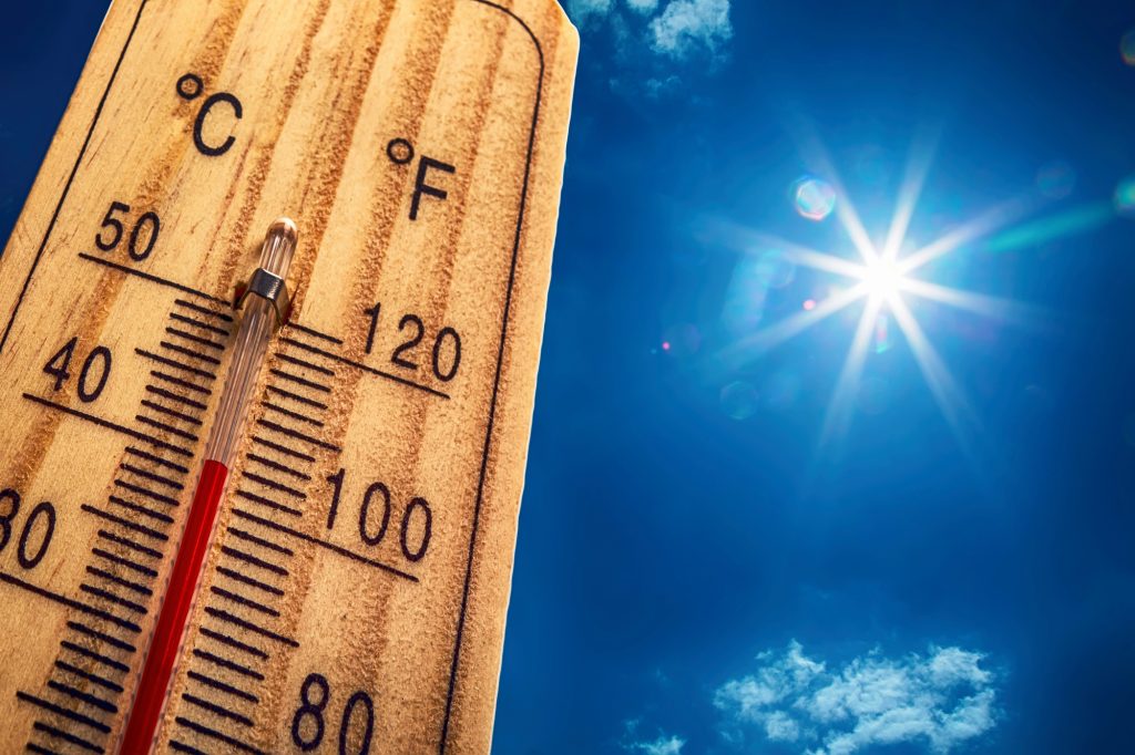 hot weather gardening