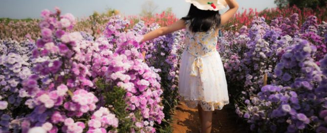 Families and Beautiful Gardens Are a Lot Alike