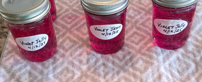 Violet Flower Jelly