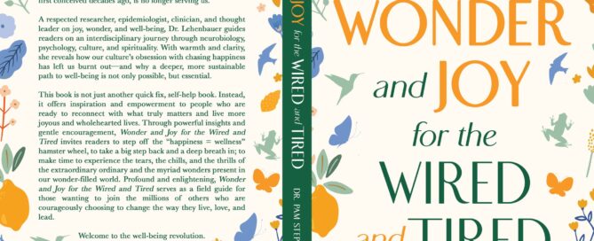 Wonder and Joy for the Wired and Tired: A Guide to Finding Inspiration and Well-Being in a Wonder-Filled World