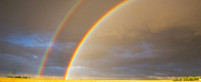 Earthly Wonders