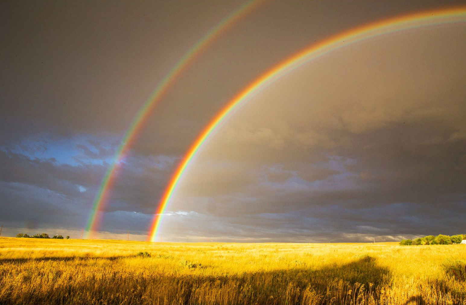 Earthly Wonders