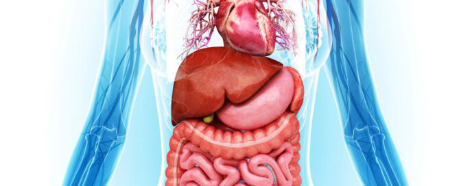 Wonders of the Human Body