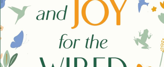 Wonder and Joy for the Wired and Tired: A Guide to Finding Inspiration and Well-Being in a Wonder-Filled World