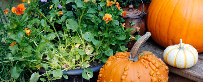 Fall Garden Planning