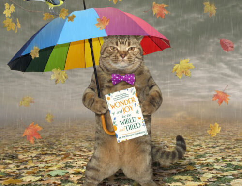 Joy: Reading a Good Book on a Rainy Day