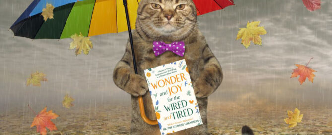 Joy: Reading a Good Book on a Rainy Day