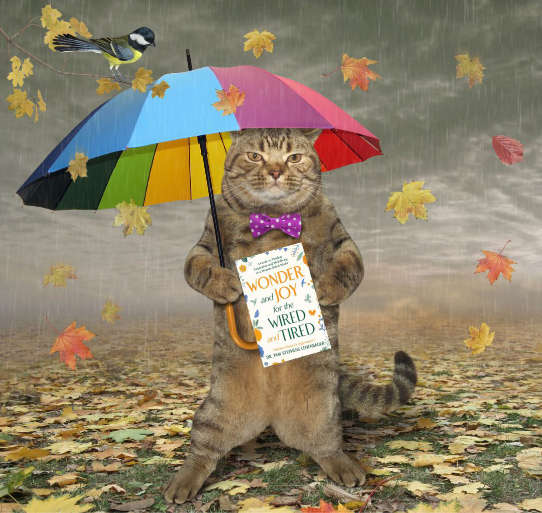 Joy: Reading a Good Book on a Rainy Day