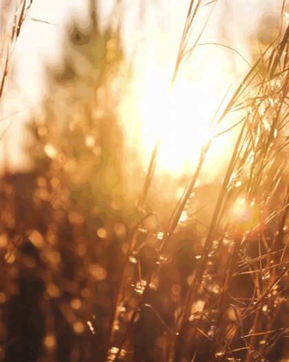 Slow Down when the World Speeds Up