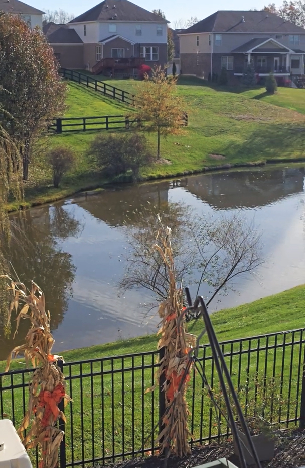 What a difference a week makes in nature