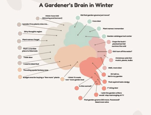 Inside my Brain in Winter