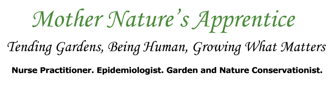 Mother Natures Apprentice