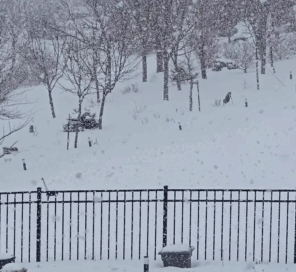 snow video