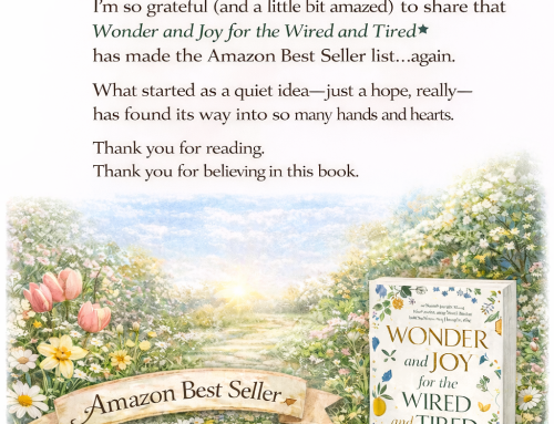 Amazon Best Seller April 2026