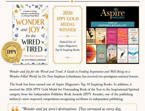 Wonder and Joy for the Wired and Tired Book Awards