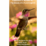 The Beauty of a Hummingbird