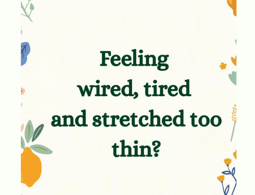 Wonder and Joy for the Wired and Tired