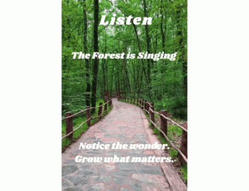 Listen…the Forest is Singing