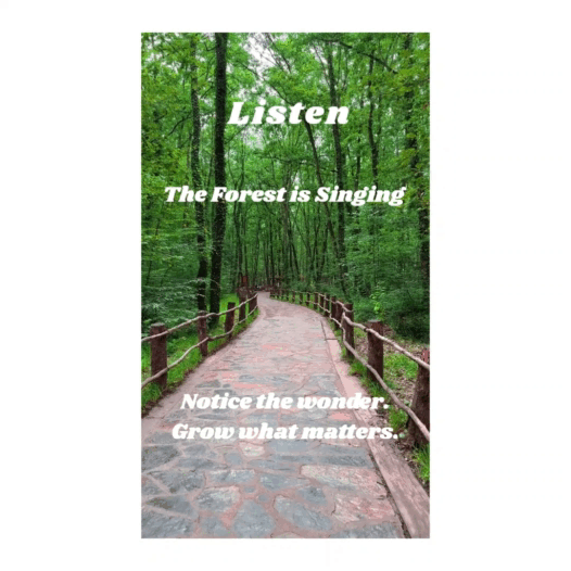 Listen The Forest is Singing