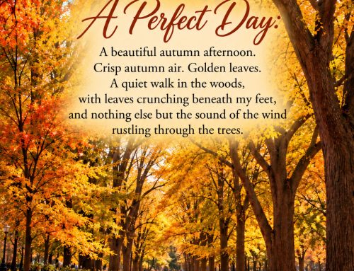 A Perfect Day