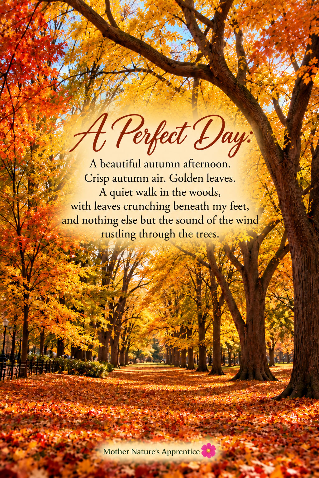 A Perfect Day