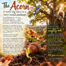 The Acorn