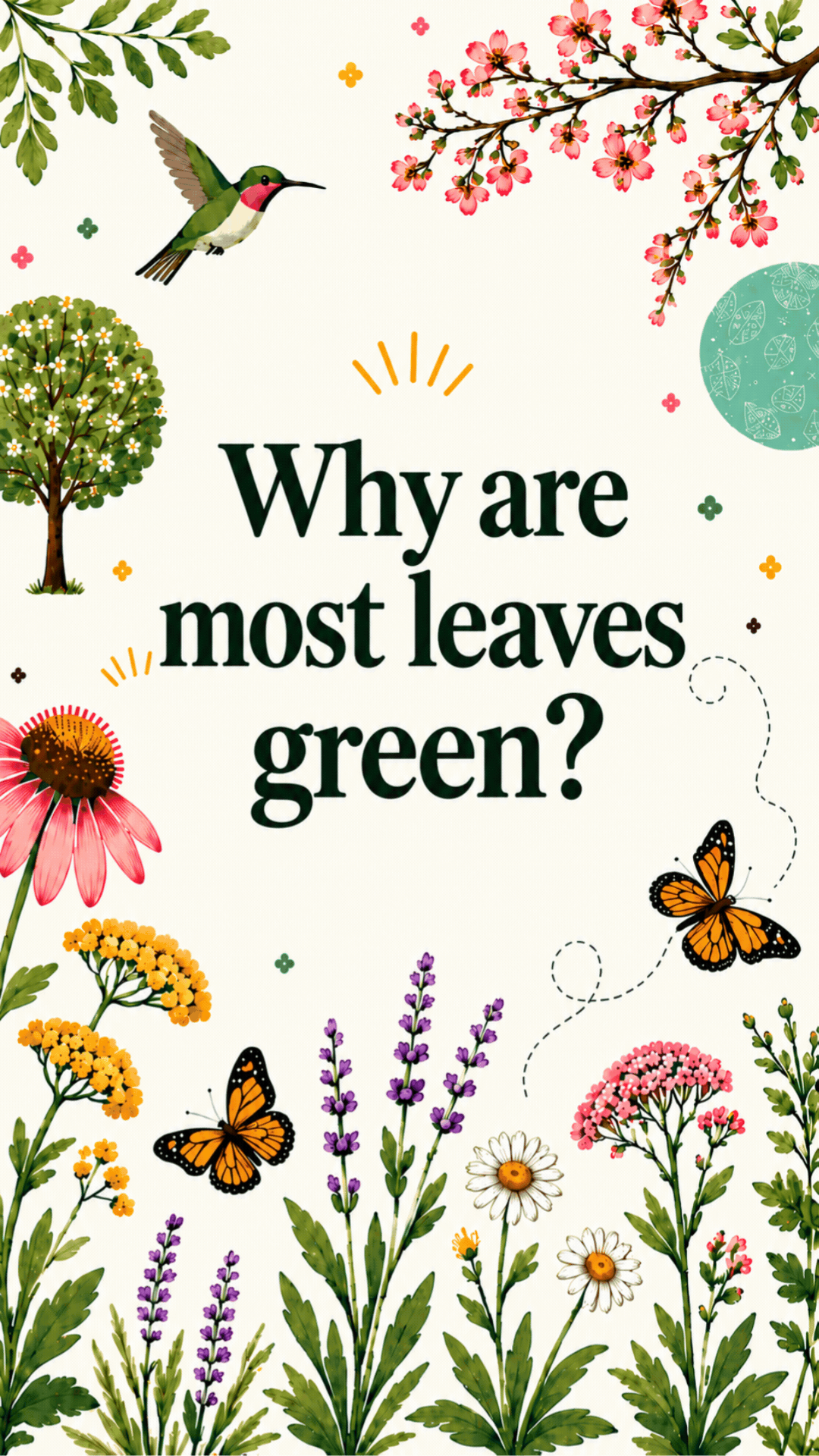Why are most leaves green