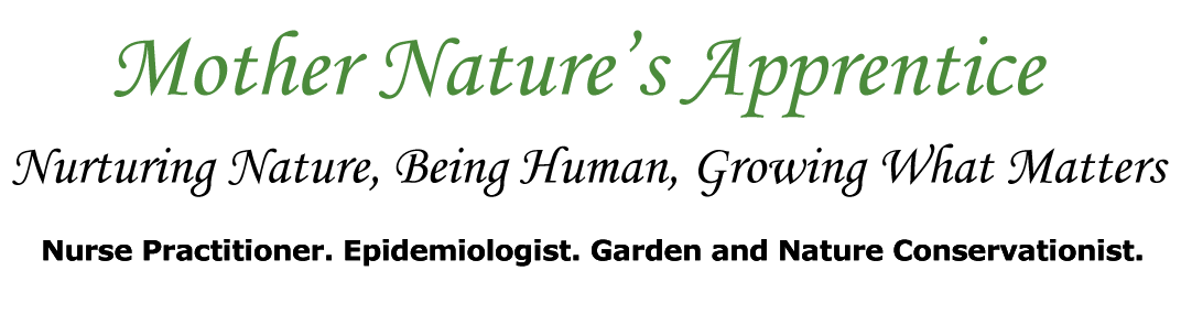 Mother Natures Apprentice