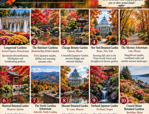 Discover 10 spectacular fall gardens in North America