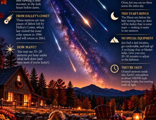Get Ready for a Shooting Star Show!