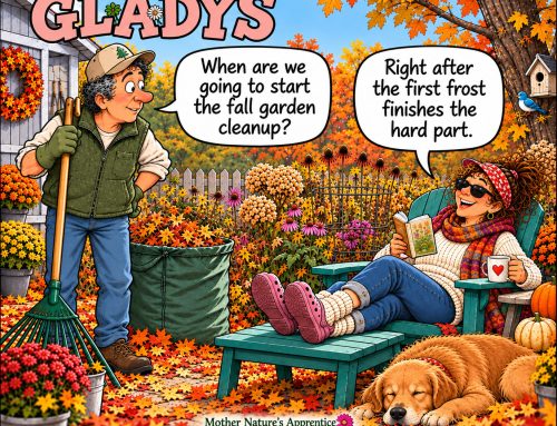 October has arrived… which means it’s time to start thinking about fall garden cleanup.