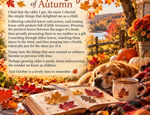 🍂 The Simple Joys of Autumn 🍁